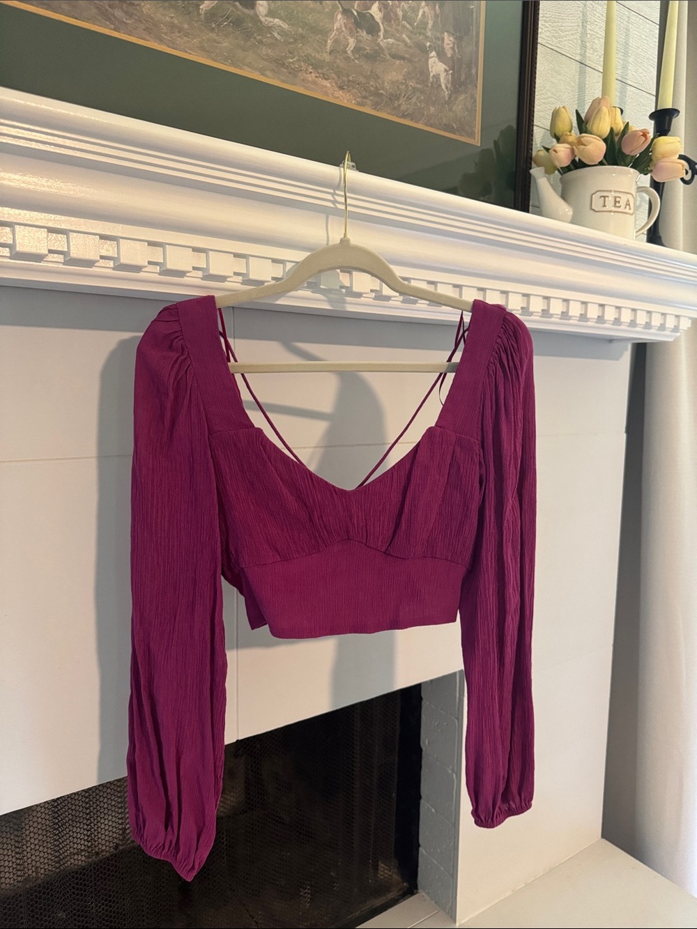 Long Sleeve V-Neck Cropped Top in Berry